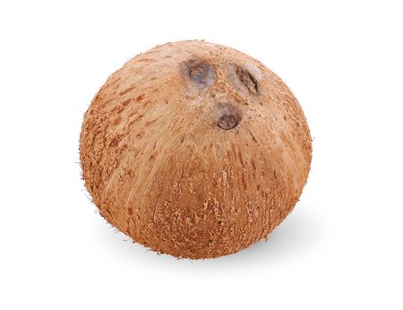 Coconut isolated on the white background.の写真素材