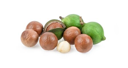 macadamia nuts isolated on white backgroundの写真素材