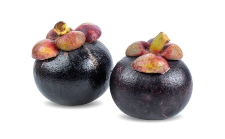Fresh mangosteen fruit on white background.の写真素材