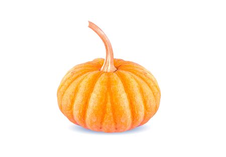 fresh pumpkin on white background.の写真素材