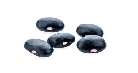 black bean on white background.の写真素材