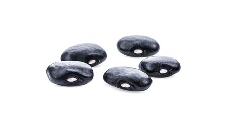 black bean on white background.の写真素材