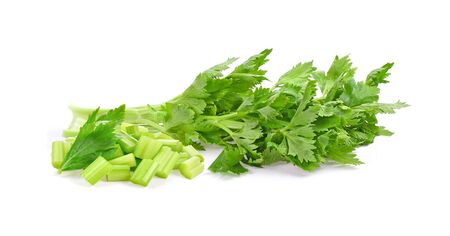 Celery on white background.の写真素材