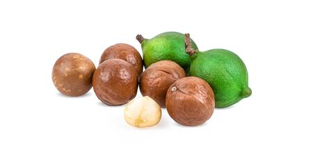 macadamia nuts isolated on white background.の写真素材