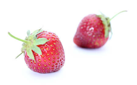 Two fresh strawberries on a white backgroundの写真素材