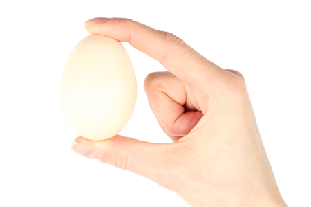 Hand of woman with fresh egg isolated on white backgroundの写真素材