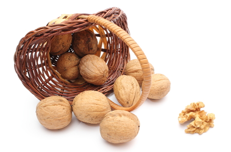 Overturned wicker basket with brown walnuts  Isolated on white backgroundの写真素材