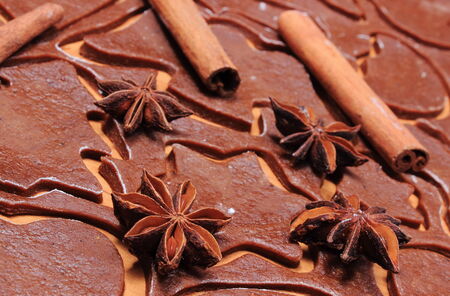 Spice for baking, anise cinnamon, lying on dough for gingerbread, concept for baking and christmas...