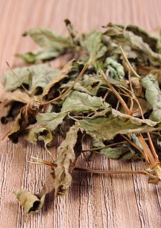 Heap of healthy dried lemon balm on wooden table, sedative herbs, concept for healthy nutrition and herbalismの写真素材