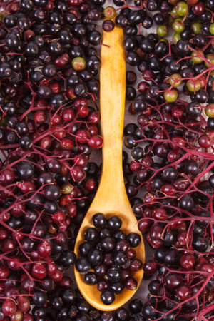 Heap of elderberry on wooden spoon and bunch of berry in background, healthy food, nutrition and alternative medicineの写真素材