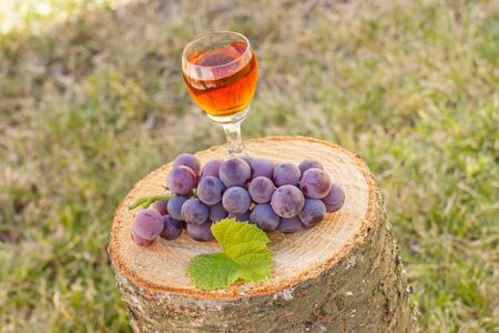 Bunch of fresh grapes with leaf and glass of wine on wooden stump in gardenの写真素材