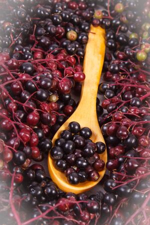 Heap of elderberry on wooden spoon and bunch of berry in background, healthy food, nutrition and alternative medicineの写真素材