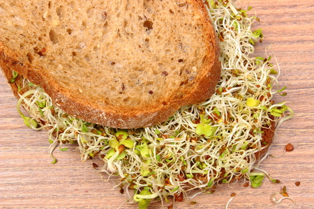 Slice of fresh baked wholemeal bread with alfalfa and radish sprouts on wooden surface, concept of...