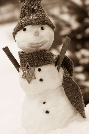 Funny snowman wrapped scarf with woolen cap on snow covered coniferous tree background, concept of winter seasonの写真素材