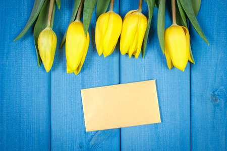 Bouquet of fresh yellow tulips lying on blue wooden boards, spring decoration, copy space for text or inscription on sheet of paperの写真素材