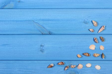 Heap of seashells on blue wooden boards, vacation and summer time, copy space for text or inscriptionの写真素材