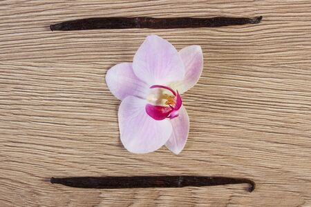 Colorful blooming orchid flower and fresh fragrant vanilla sticks pods on wooden backgroundの写真素材