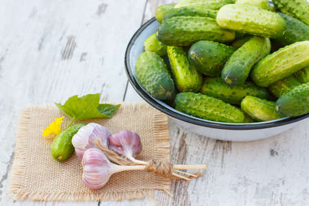Ripe cucumbers in metal bowl and fresh garlic on jute canvas on old white wooden table in garden on sunny day, healthy nutritionの写真素材