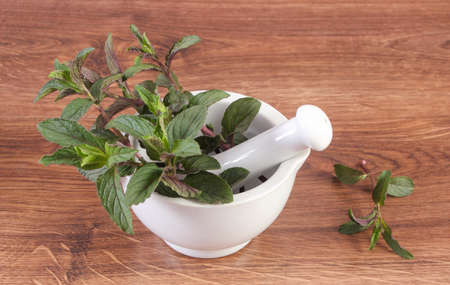 Bunch of fresh natural green mint in white glass mortar on wooden rustic board, healthy lifestyle...