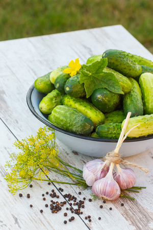 Ripe cucumbers and spices for pickling on old white wooden table in garden, healthy nutritionの写真素材