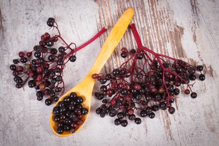 Heap of elderberry on wooden spoon and bunch of berry on old rustic board, healthy food, nutrition and alternative medicineの写真素材