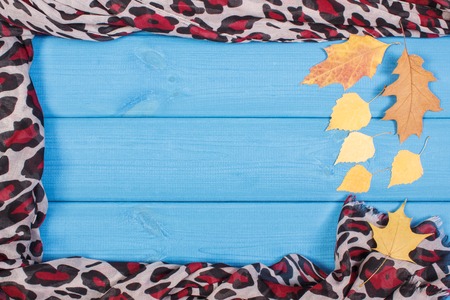 Frame of colorful shawl for woman and autumnal leaves on boards, warm clothing for autumn or winter,...