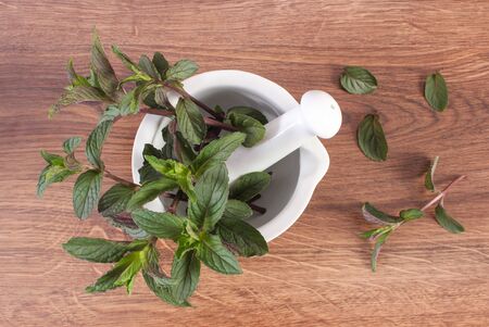 Bunch of fresh natural green mint in white glass mortar on wooden rustic board, healthy lifestyle and nutritionの写真素材