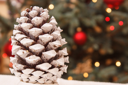 Decorative pine cone and christmas tree with lights in backgroundの写真素材