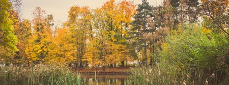 Vintage photo, Trees with golden leaves and lake or pond in autumnal park