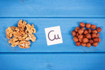 Healthy walnuts and hazelnuts containing copper, dietary fiber and natural minerals, concept of healthy nutritionの写真素材