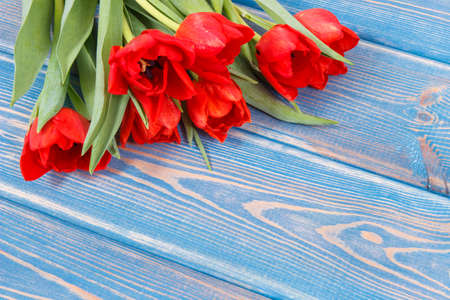 Bouquet of fresh red tulips lying on blue boards, spring decoration, copy space for text or inscriptionの写真素材
