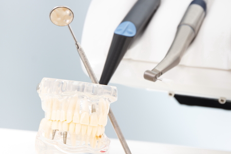 Dental jaw model, stomatology mirror, tools and instruments used by dentists in modern officeの写真素材