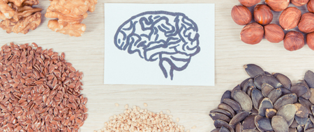 Healthy food for brain power containing natural vitamins and minerals, concept of nutritious eatingの写真素材