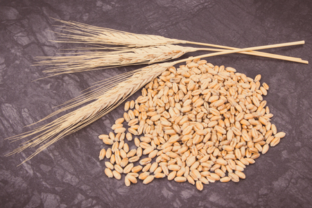 Closeup of cereal seeds and ears of rye or wheat grains. Vintage photoの写真素材