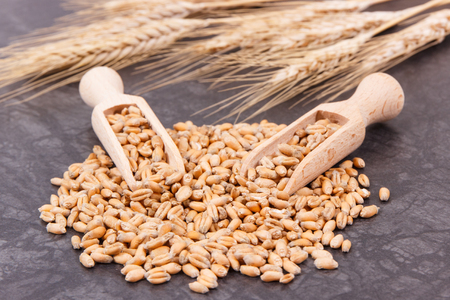 Closeup of cereal seeds with wooden spoons and ears of rye or wheat grains in backgroundの写真素材