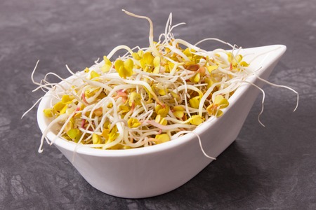 Fresh nutritious radish spouts in white bowl, healthy nutrition conceptの写真素材