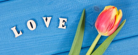 Word love and fresh tulips as surprise for Valentines Day, birthday or other occasionsの写真素材