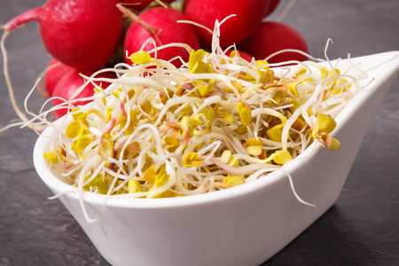 Fresh nutritious radish spouts and vegetable as source natural vitamins and minerals, healthy nutrition conceptの写真素材