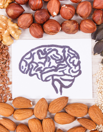 Healthy eating as source natural vitamin and minerals, concept of best food for brain health and good memoryの写真素材