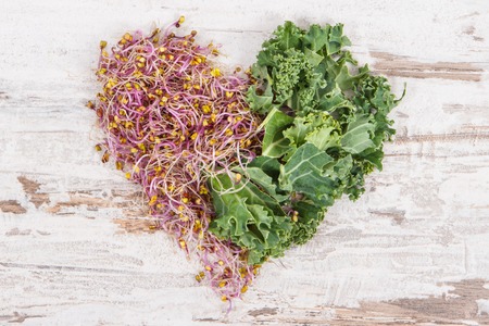 Fresh kale sprouts with green leaves of vegetable in shape of heart. Food containing natural healthy vitamins and mineralsの写真素材