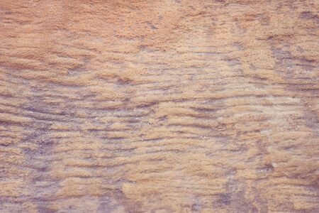 Cement and concrete wall as background texture, copy space for text or inscription