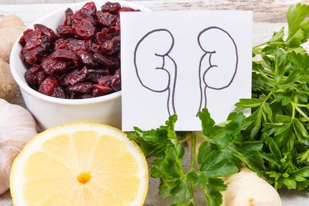 Natural food for healthy kidneys. Nutritious eating as source vitamins and minerals