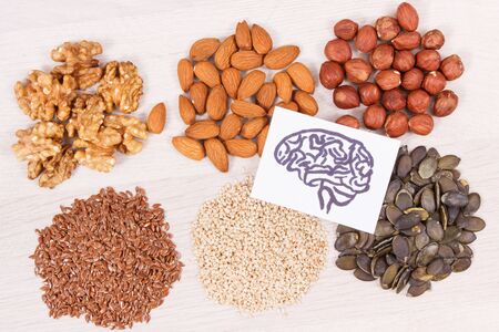Drawing of brain and best nutritious food for health and good memory, concept of healthy eating
