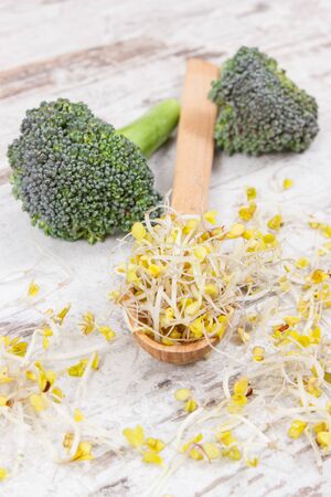 Fresh healthy nutritious broccoli sprouts as source natural vitamins and mineralsの写真素材