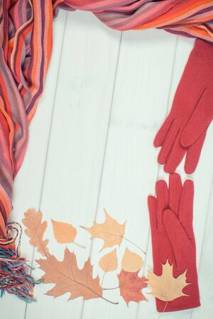 Vintage photo. Frame of colorful shawl, gloves for woman and autumnal leaves on white boardsの写真素材
