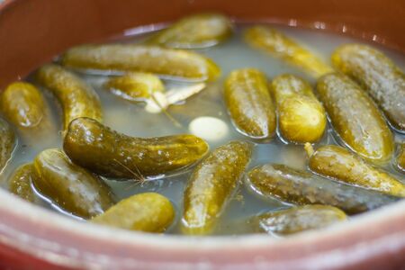 Fresh prepared homemade pickled cucumbers with spices in clay potの写真素材