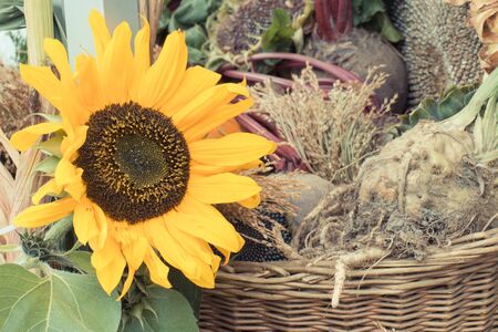 Seasonal harvesting decorations made of colorful flowers and ears of wheat or rye
