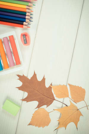 Vintage photo, Frame of office accessories and leaves on white boards, copy space for text or...