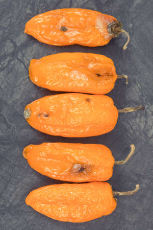 Old wrinkled moldy peppers on dark background, concept of unhealthy and disgusting vegetable