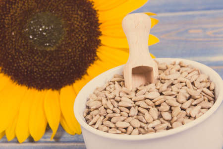 Sunflower seeds and beautiful yellow flower on old purple boards background. Vintage photoの写真素材